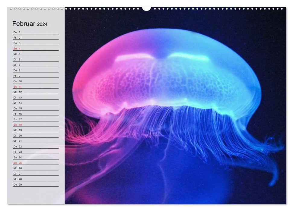 Jellyfish. Ethereal miraculous creatures (CALVENDO wall calendar 2024) 