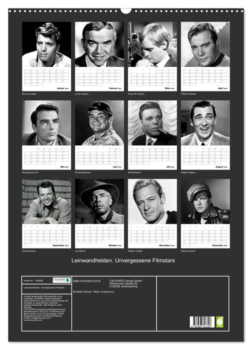 héros du cinéma. Stars de cinéma inoubliables (calendrier mural CALVENDO 2024) 