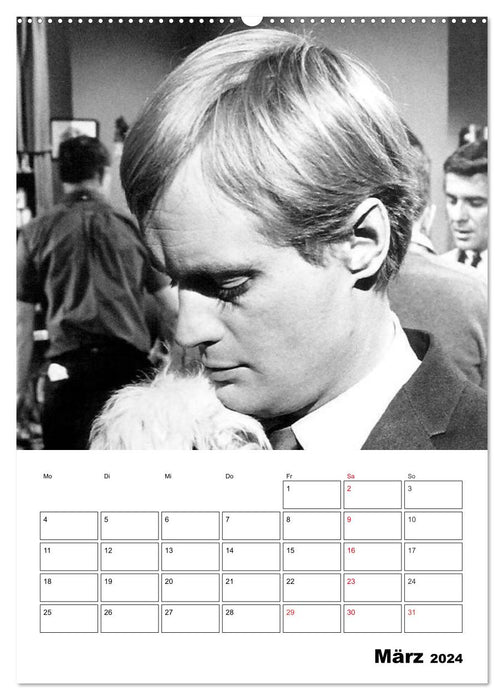 screen heroes. Unforgotten film stars (CALVENDO wall calendar 2024) 