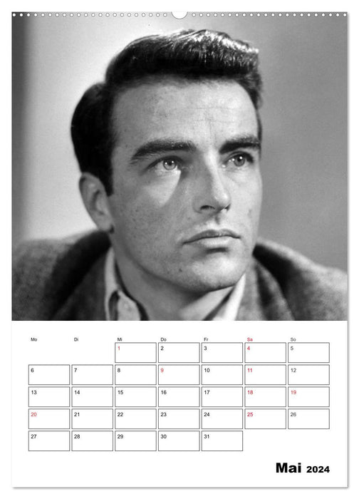 screen heroes. Unforgotten film stars (CALVENDO wall calendar 2024) 