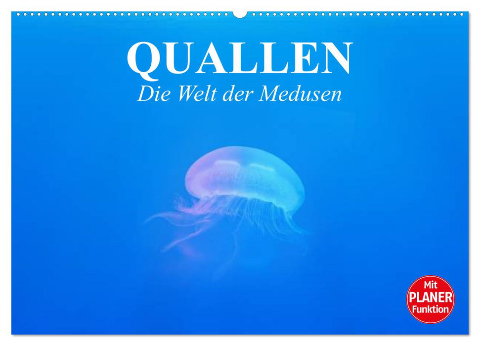 Jellyfish. The World of Medusas (CALVENDO Wall Calendar 2024) 