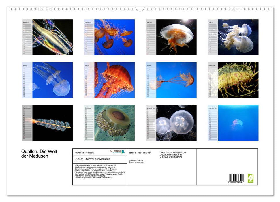 Jellyfish. The World of Medusas (CALVENDO Wall Calendar 2024) 