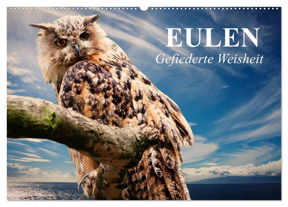 Owls. Feathered wisdom (CALVENDO wall calendar 2024) 