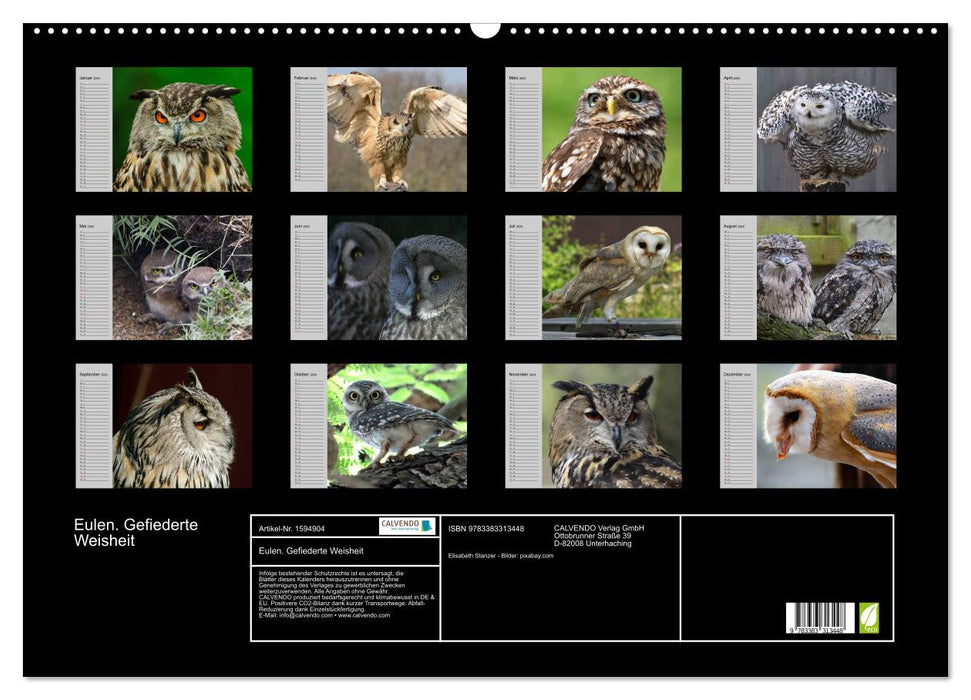 Owls. Feathered wisdom (CALVENDO wall calendar 2024) 