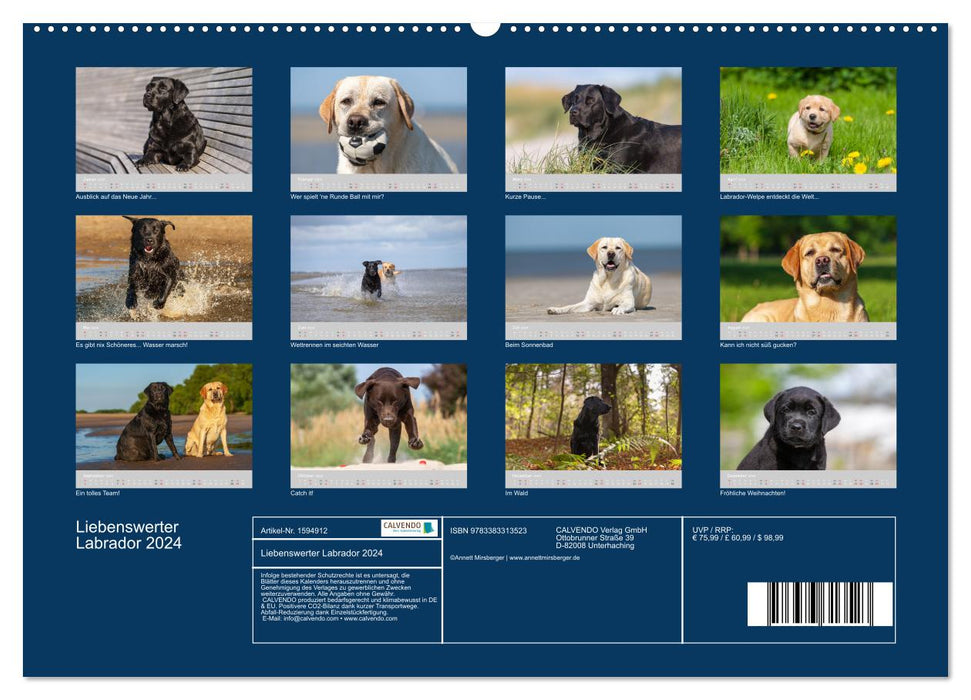 Liebenswerter Labrador 2024 (CALVENDO Premium Wandkalender 2024)