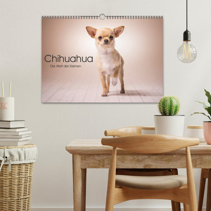 Chihuahua - Die Welt der Kleinen (CALVENDO Wandkalender 2024)