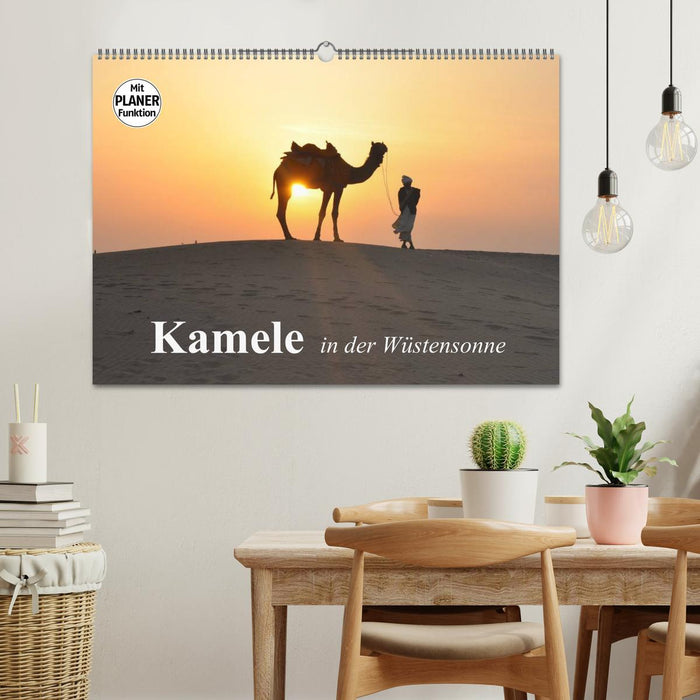 Kamele in der Wüstensonne (CALVENDO Wandkalender 2024)