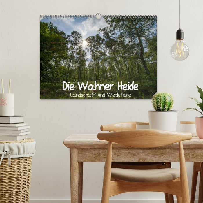 Die Wahner Heide - Landschaft und Weidetiere (CALVENDO Wandkalender 2024)