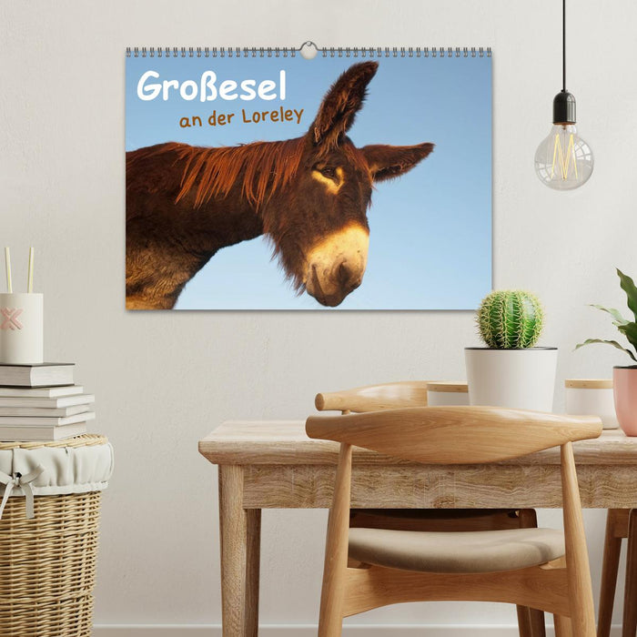 Large donkey at the Loreley (CALVENDO wall calendar 2024) 