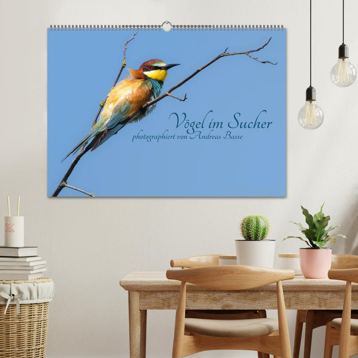 Birds in the viewfinder (CALVENDO wall calendar 2024) 