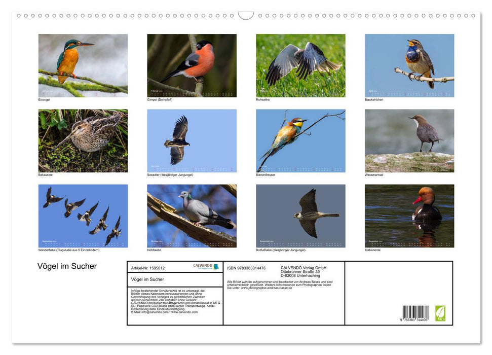 Birds in the viewfinder (CALVENDO wall calendar 2024) 