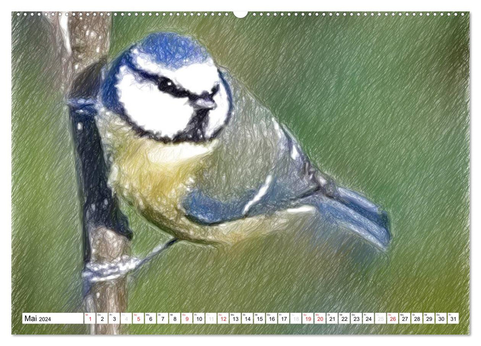 Scotland's Bird World - A Portrait in Drawings (CALVENDO Premium Wall Calendar 2024) 