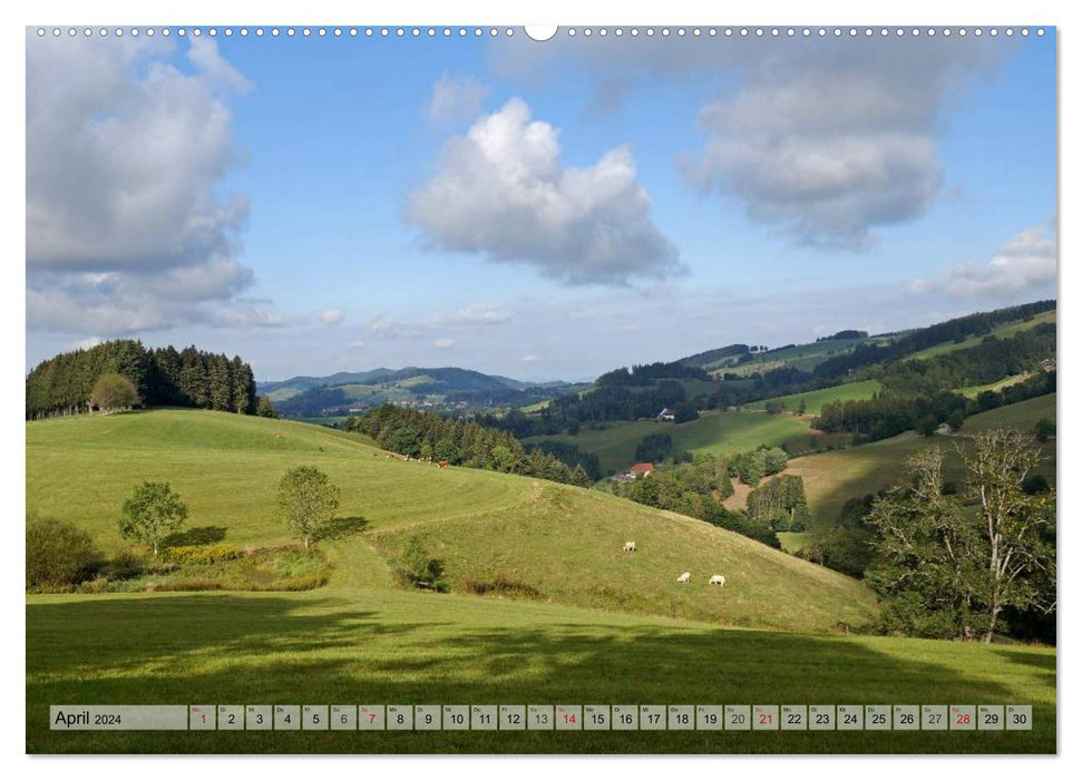 Südschwarzwald - Impressionen (CALVENDO Premium Wandkalender 2024)