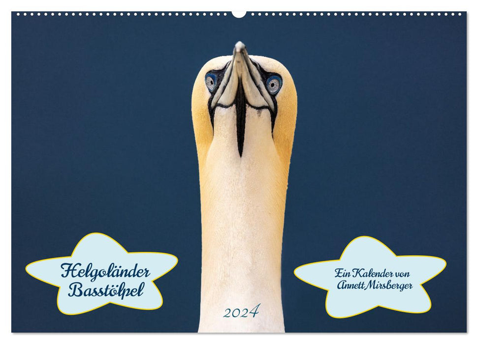 Helgoländer Basstölpel 2024 (CALVENDO Wandkalender 2024)