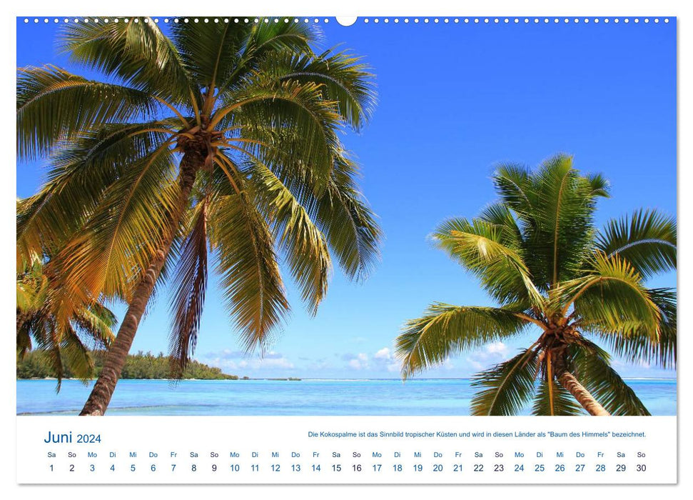 South Sea island of Mo'orea (CALVENDO wall calendar 2024) 