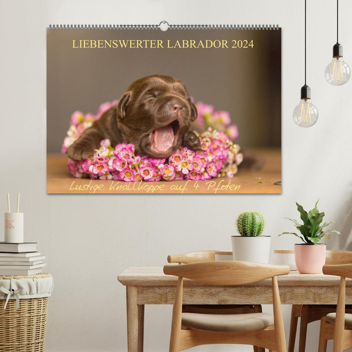 Liebenswerter Labrador 2024 (CALVENDO Wandkalender 2024)