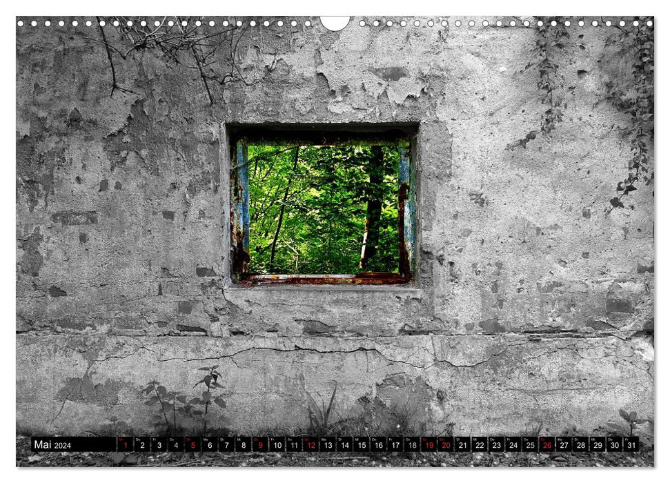 Illusions de textures, art photographique (Calendrier mural CALVENDO 2024) 