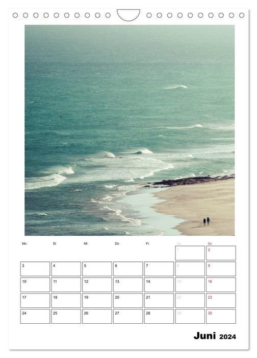 Melody of the Sea (CALVENDO Wall Calendar 2024) 