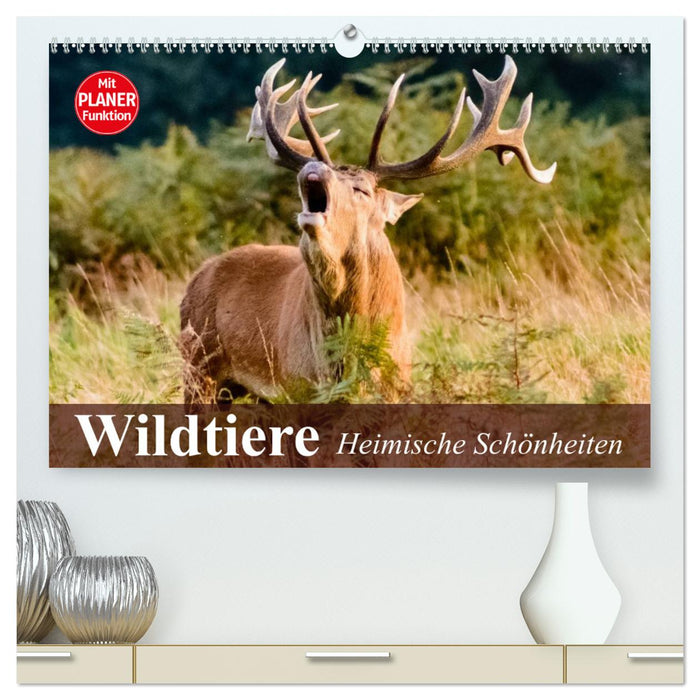 Wildtiere. Heimische Schönheiten (CALVENDO Premium Wandkalender 2024)