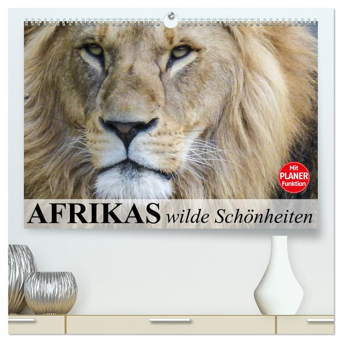 Africa's wild beauties (CALVENDO Premium Wall Calendar 2024) 