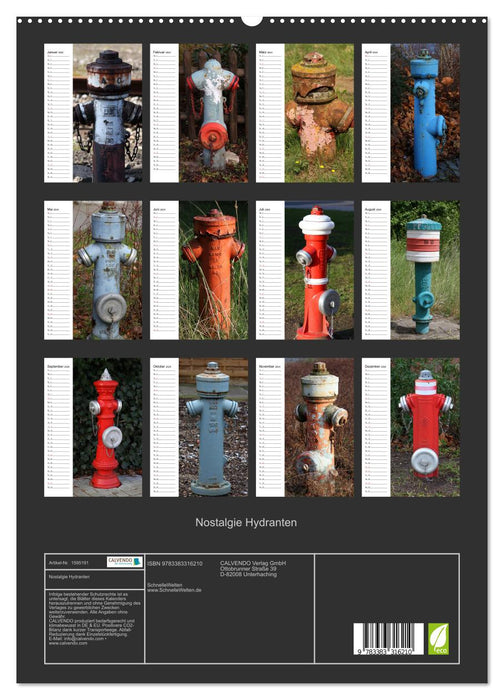 Bouches d'incendie nostalgiques (calendrier mural CALVENDO Premium 2024) 