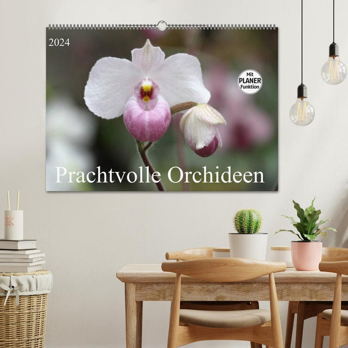 Magnifiques orchidées (Calendrier mural CALVENDO 2024) 