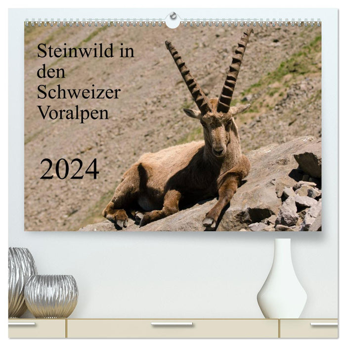 Steinwild in den Schweizer Voralpen (CALVENDO Premium Wandkalender 2024)