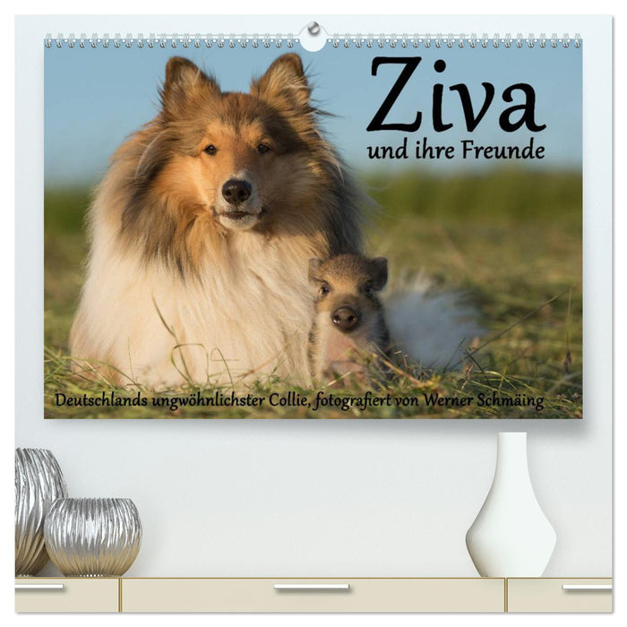 Ziva und ihre Freunde (CALVENDO Premium Wandkalender 2024)