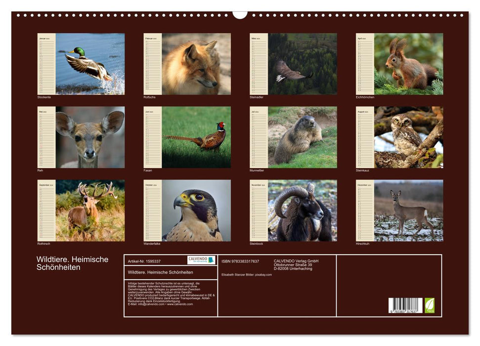 Wildtiere. Heimische Schönheiten (CALVENDO Wandkalender 2024)