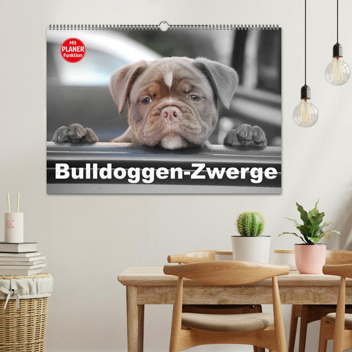 Bulldoggen-Zwerge (CALVENDO Wandkalender 2024)