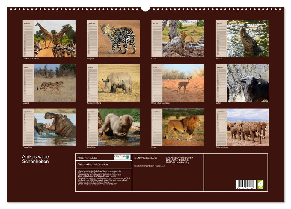 Afrikas wilde Schönheiten (CALVENDO Wandkalender 2024)
