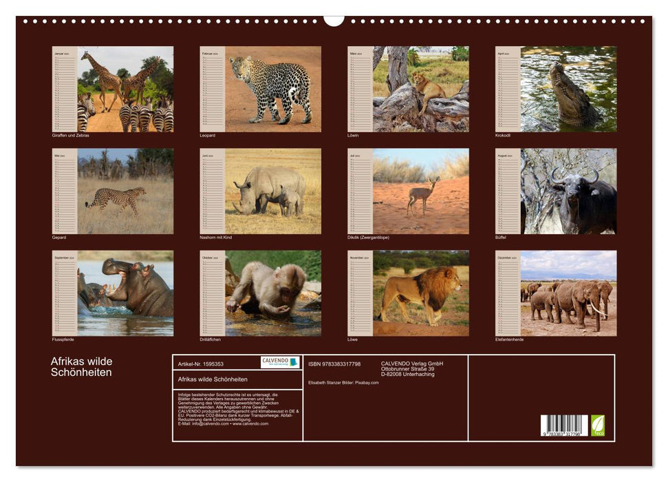 Africa's wild beauties (CALVENDO wall calendar 2024) 