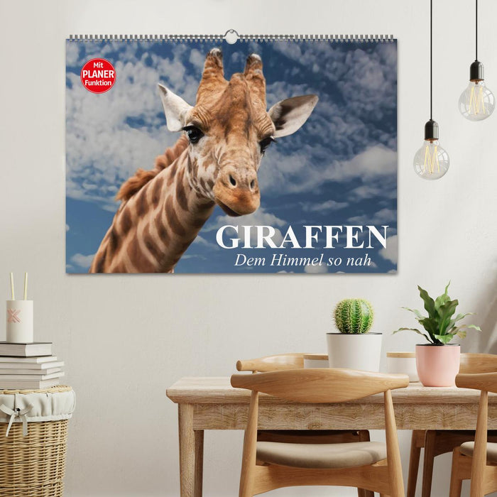 Giraffes. So close to heaven (CALVENDO wall calendar 2024)