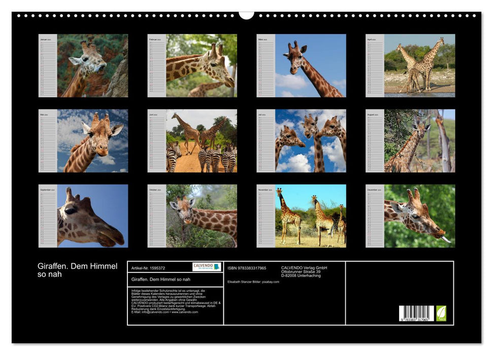 Giraffes. So close to heaven (CALVENDO wall calendar 2024) 