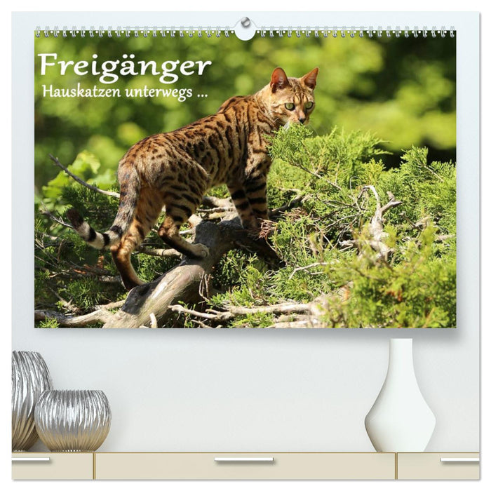 Freigänger - Hauskatzen unterwegs (CALVENDO Premium Wandkalender 2024)