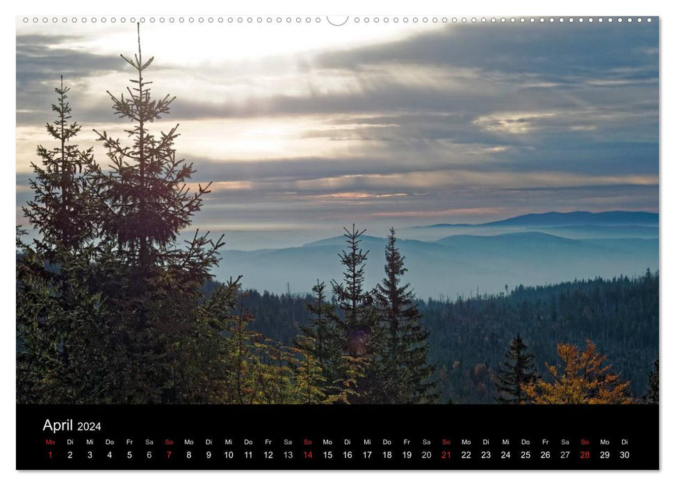 Herbst im Nationalpark Bayerischer Wald (CALVENDO Premium Wandkalender 2024)
