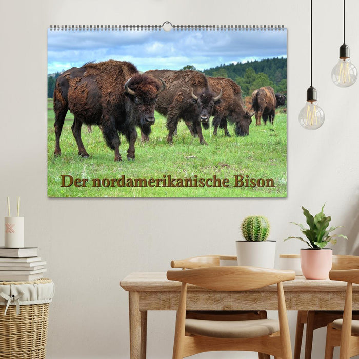 The North American bison (CALVENDO wall calendar 2024) 