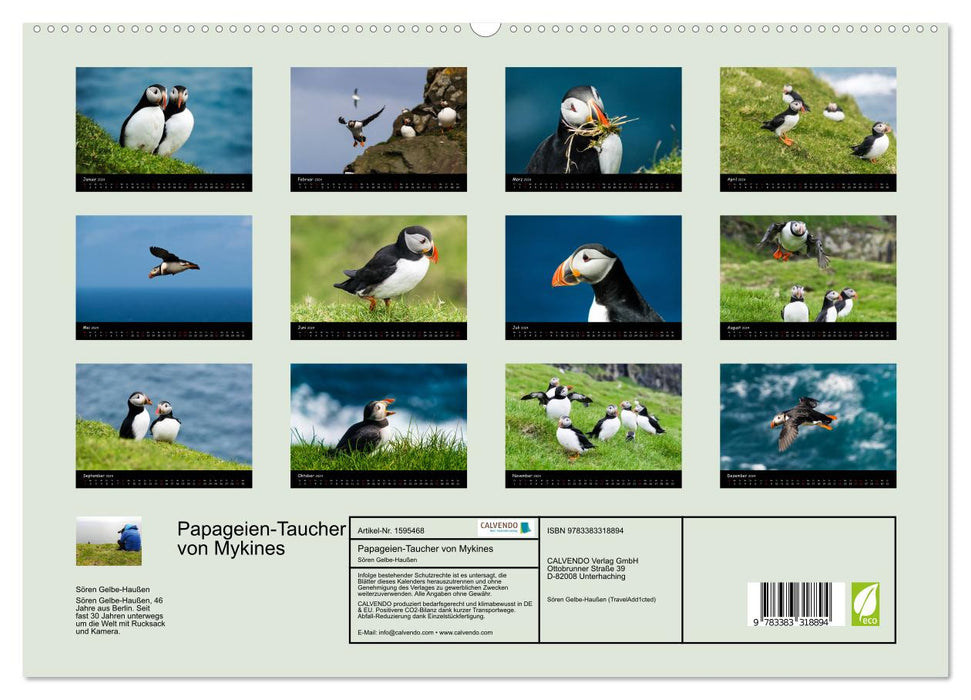 Die Papageientaucher von Mykines (CALVENDO Premium Wandkalender 2024)