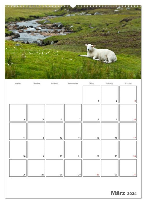 Schottland für Naturliebhaber (CALVENDO Wandkalender 2024)