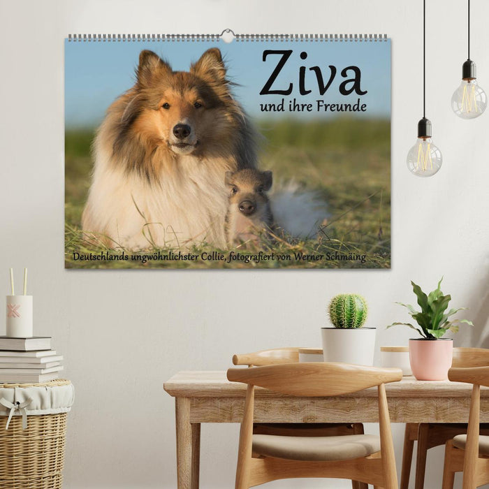 Ziva und ihre Freunde (CALVENDO Wandkalender 2024)