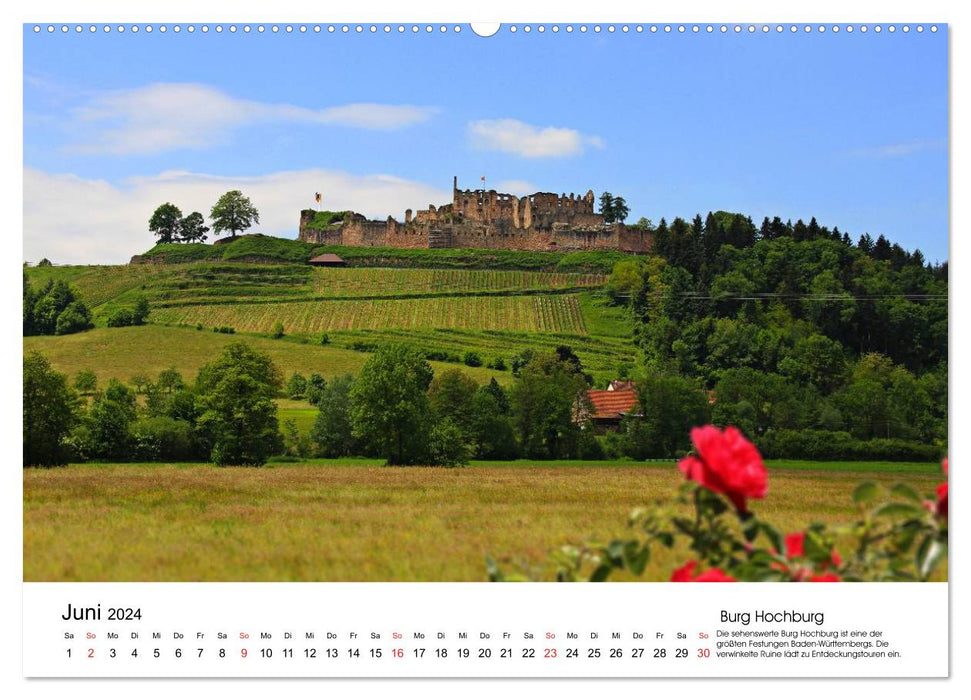 Deutschlands Burgen - eindrucksvolle Ruinen (CALVENDO Wandkalender 2024)