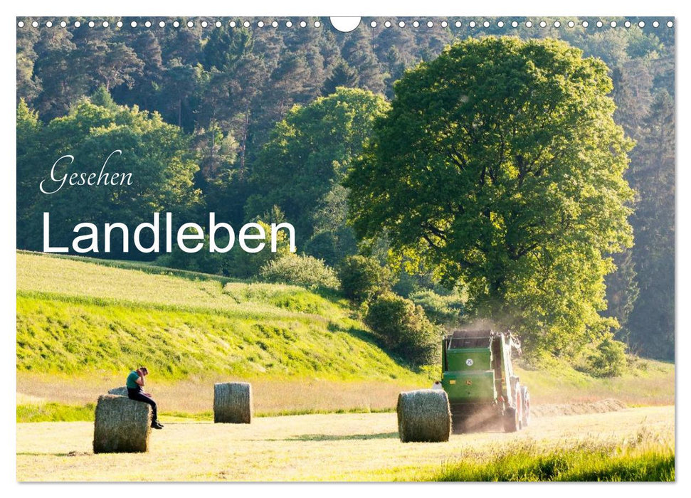 Gesehen - Landleben (CALVENDO Wandkalender 2024)