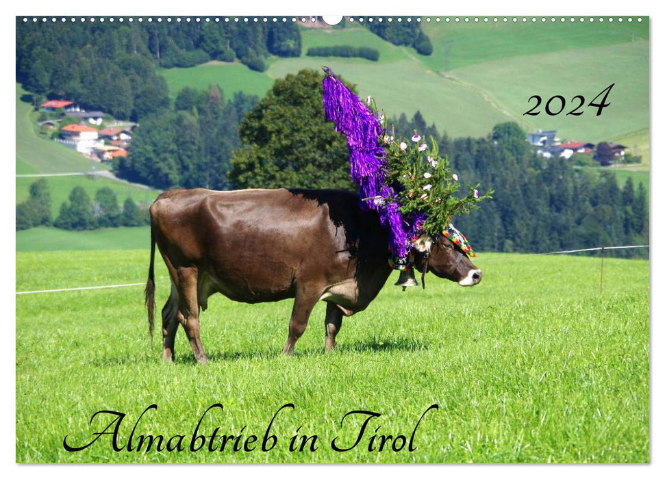 Almabtrieb in Tirol (CALVENDO Wandkalender 2024)