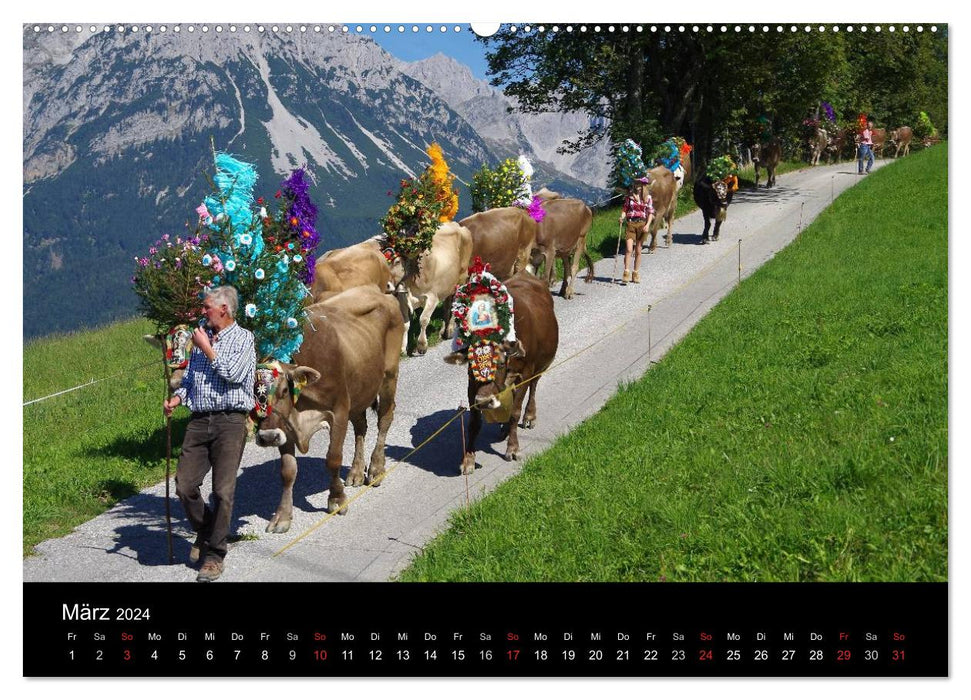 Cattle drive in Tyrol (CALVENDO wall calendar 2024) 