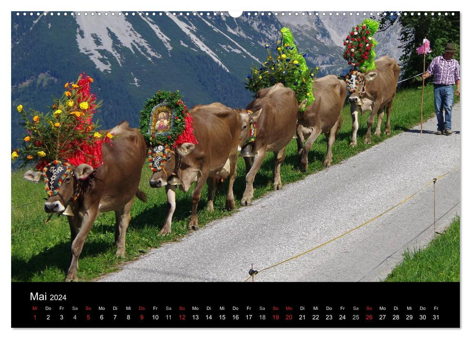 Cattle drive in Tyrol (CALVENDO wall calendar 2024) 