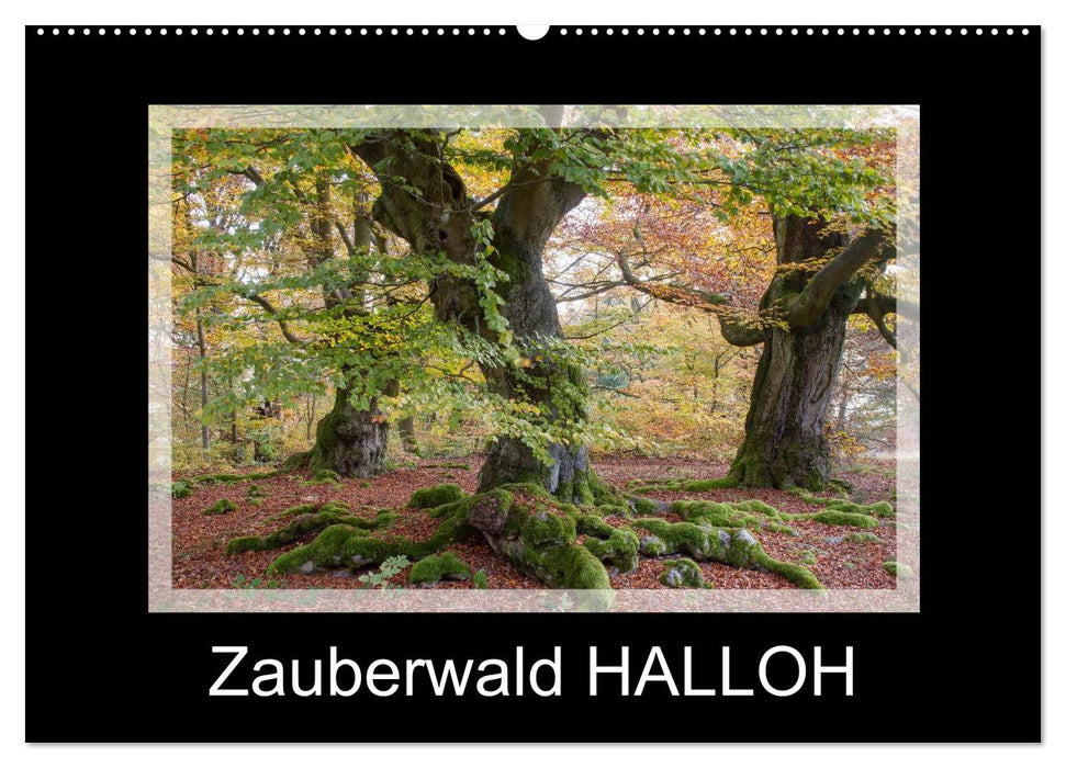 Magic forest HALLOH (CALVENDO wall calendar 2024) 
