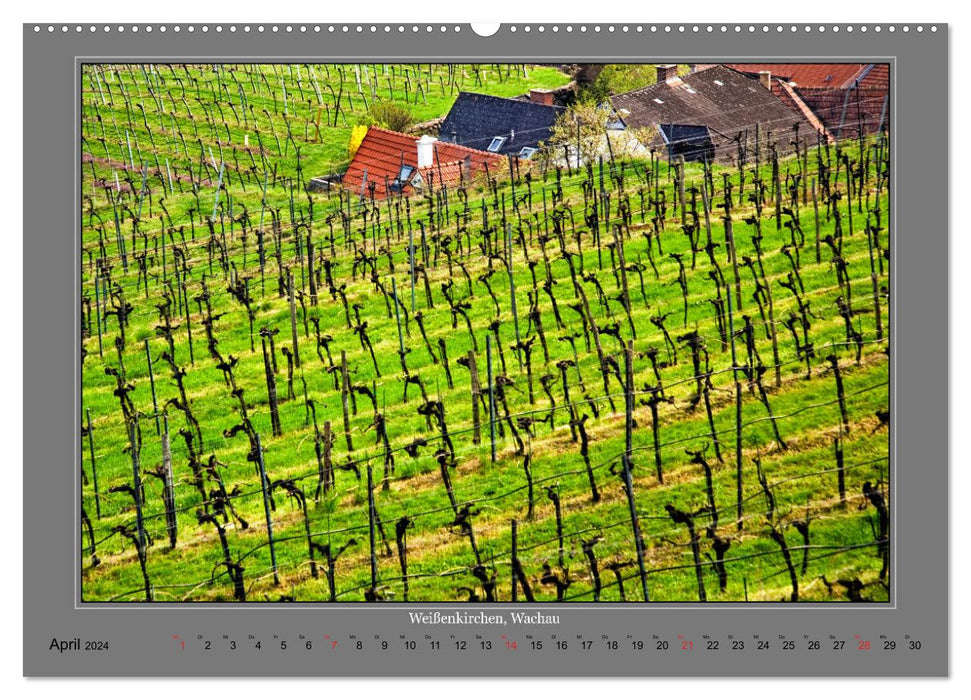 Strukturen im Weinbau (CALVENDO Wandkalender 2024)