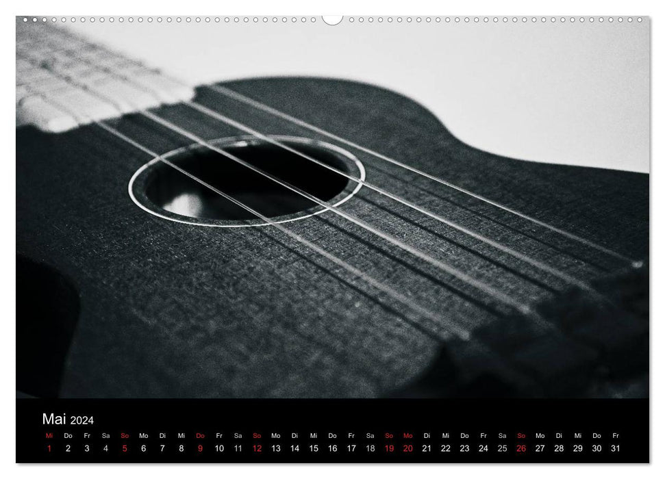 Meine Saiten Ansichten - Banjo, Gitarre, Klavier, Ukulele und Zitter von Ulrike SSK (CALVENDO Premium Wandkalender 2024)
