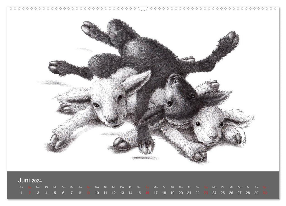 TIERONISCH (CALVENDO Premium Wandkalender 2024)