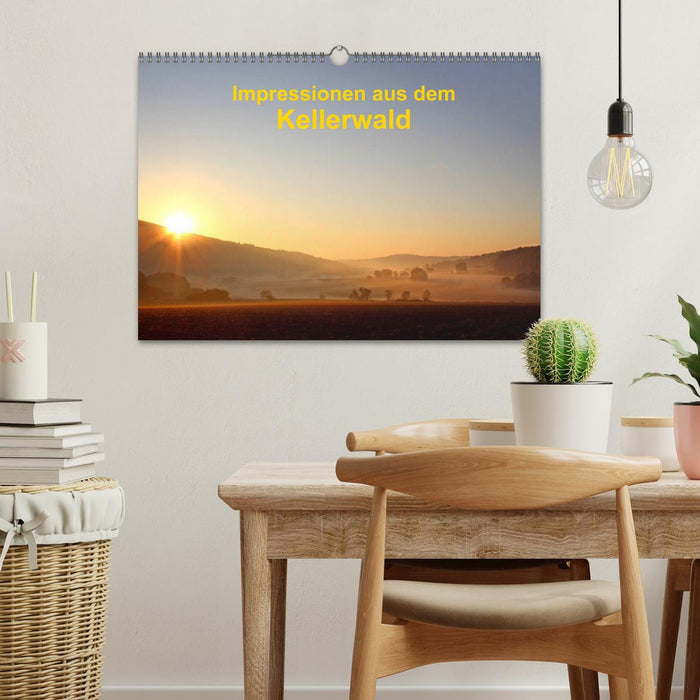 Impressions from the Kellerwald (CALVENDO wall calendar 2024) 